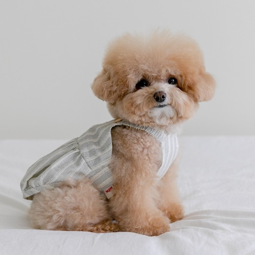 Croissant Balloon Top (3colors) Preorder