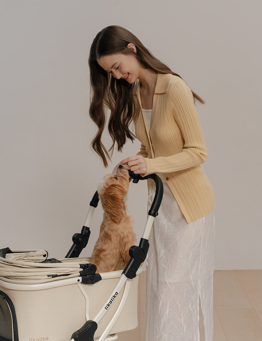 All Day Plus Pet Stroller (2 colors)