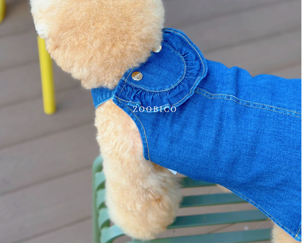 Washed Denim Onesie & Dress