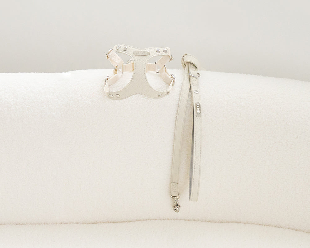 Delight 1.5M Leash (4 colors) preorder