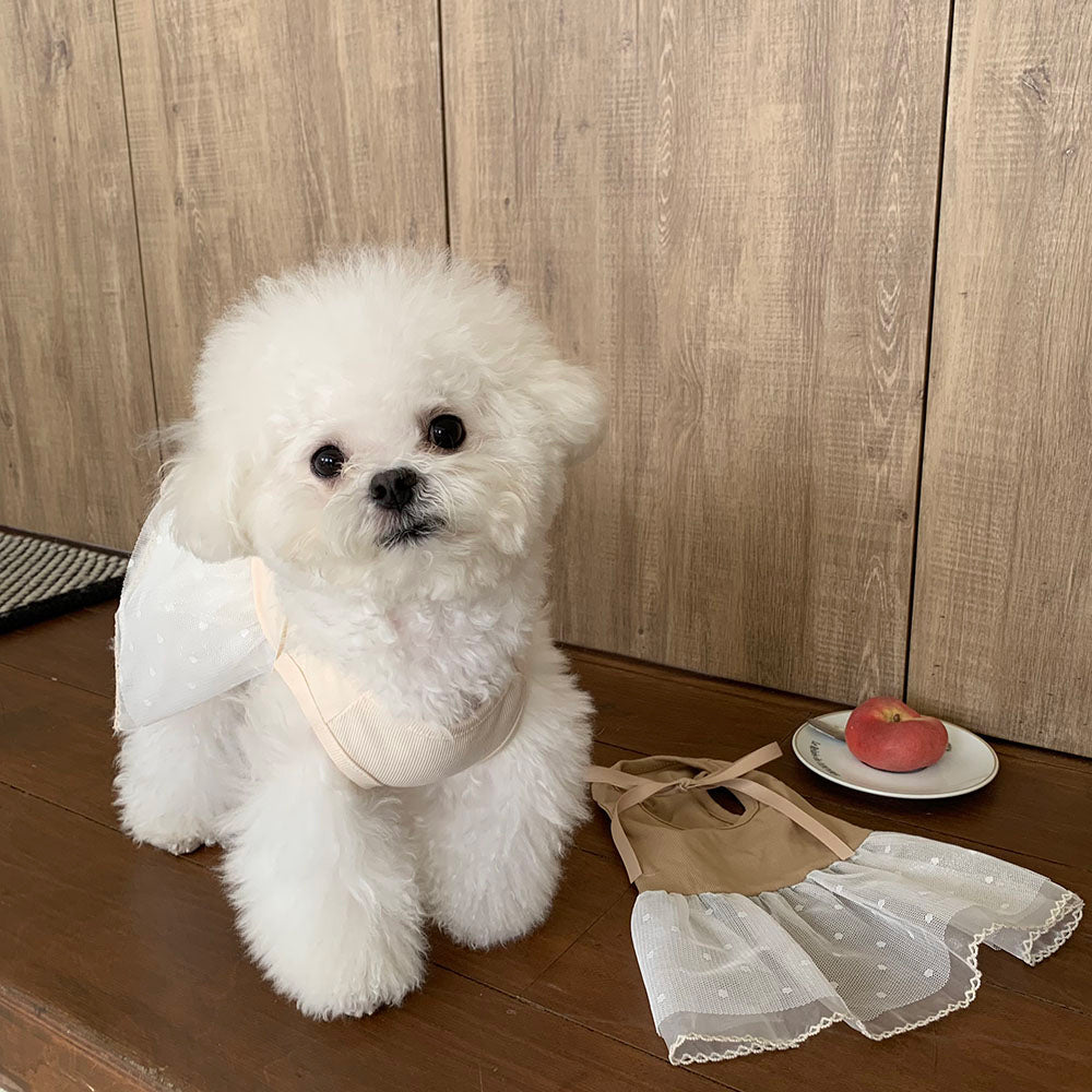 Ballet Ribbed Sleeveless Dress (2 colors)