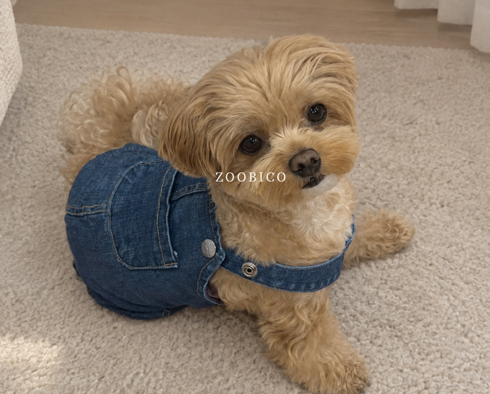 Washed Denim Onesie & Dress