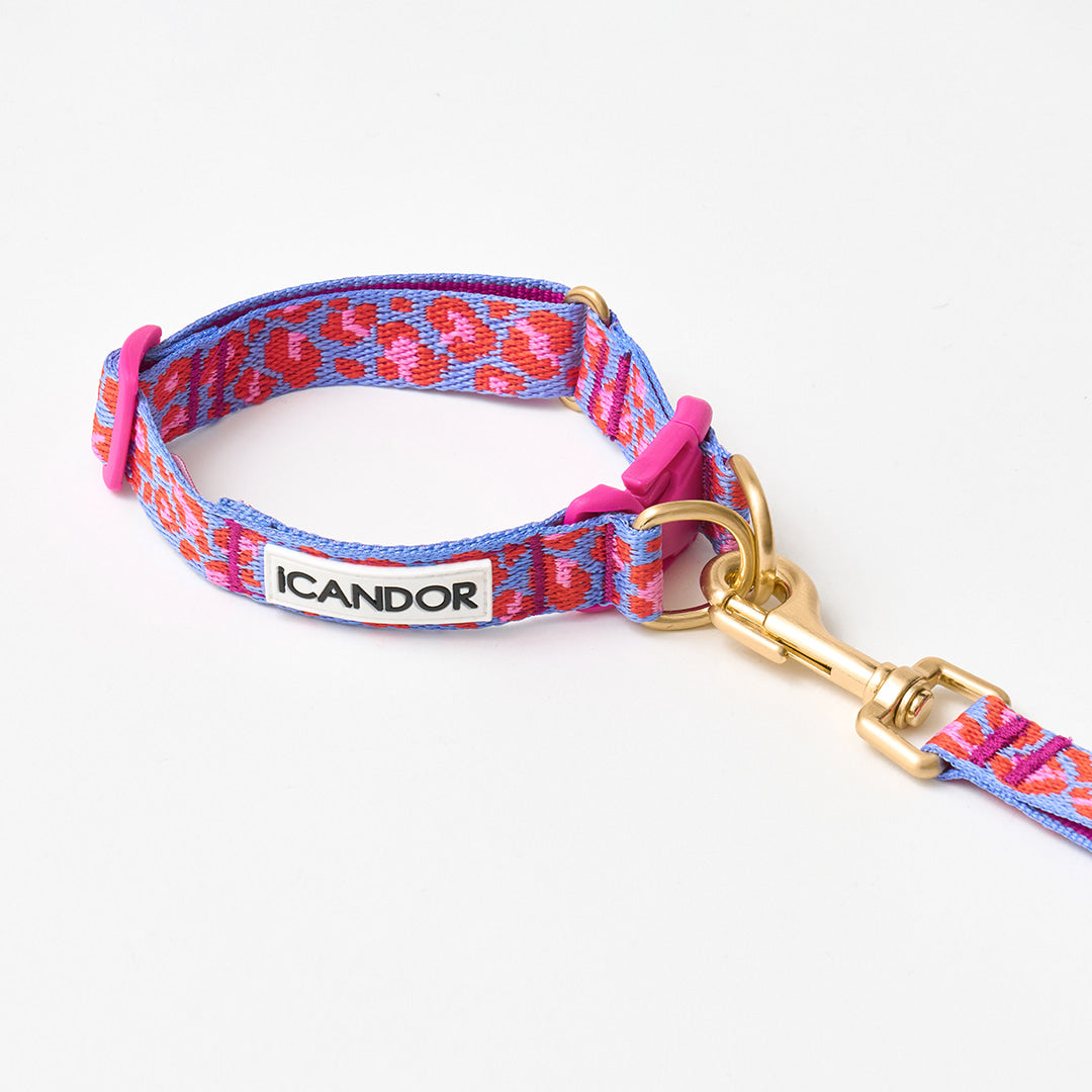 Gentle Collar Dual (Leopard Lavender Blue)