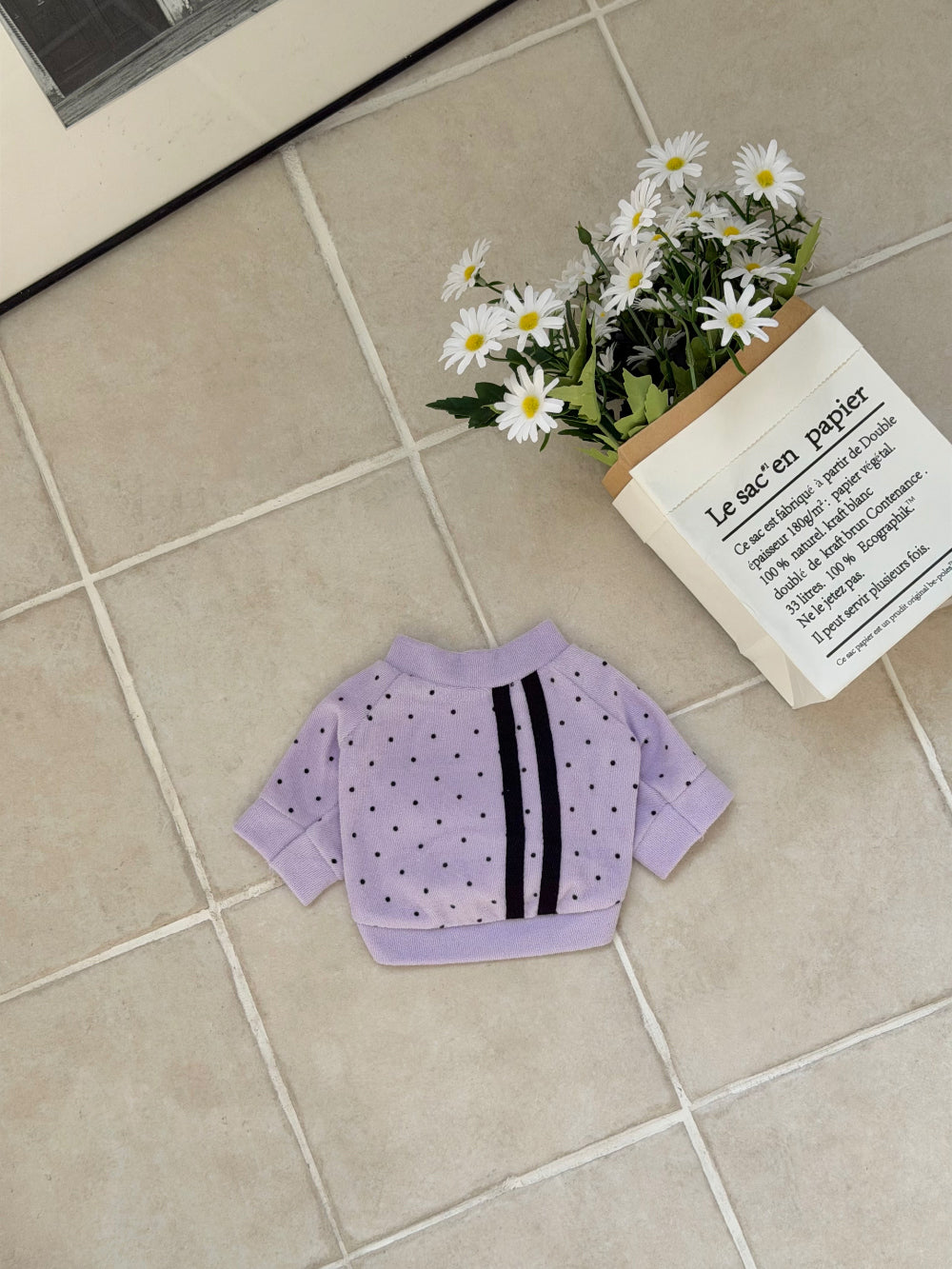 Terry Dot Sweatshirt (4 colors)