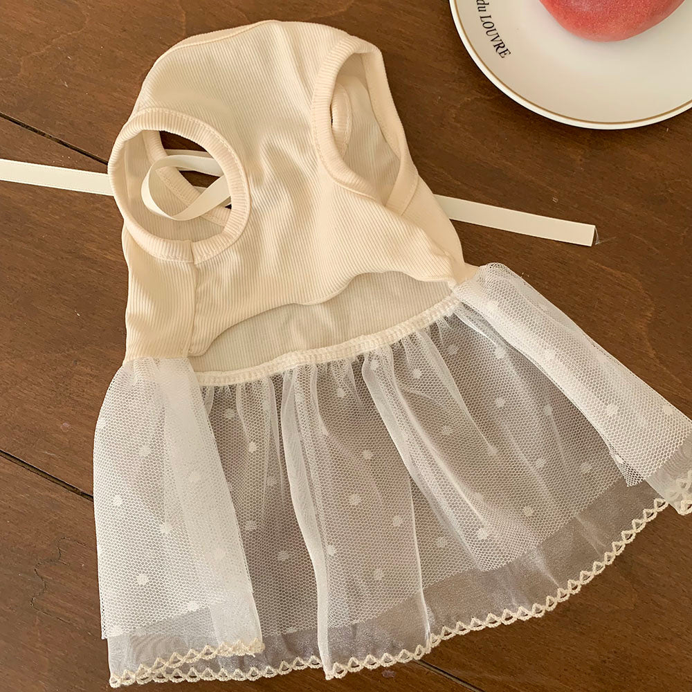 Ballet Ribbed Sleeveless Dress (2 colors)