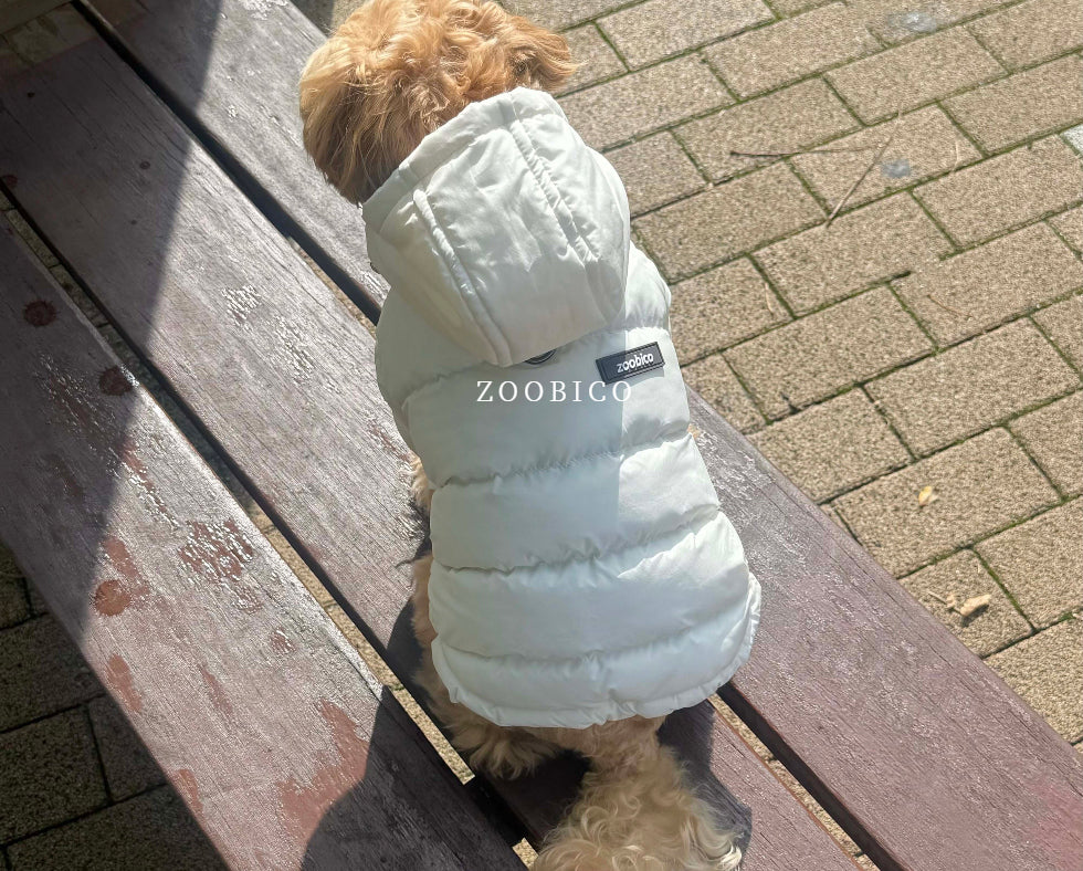 Tricolor Hooded Puffer Jacket (3 colors)