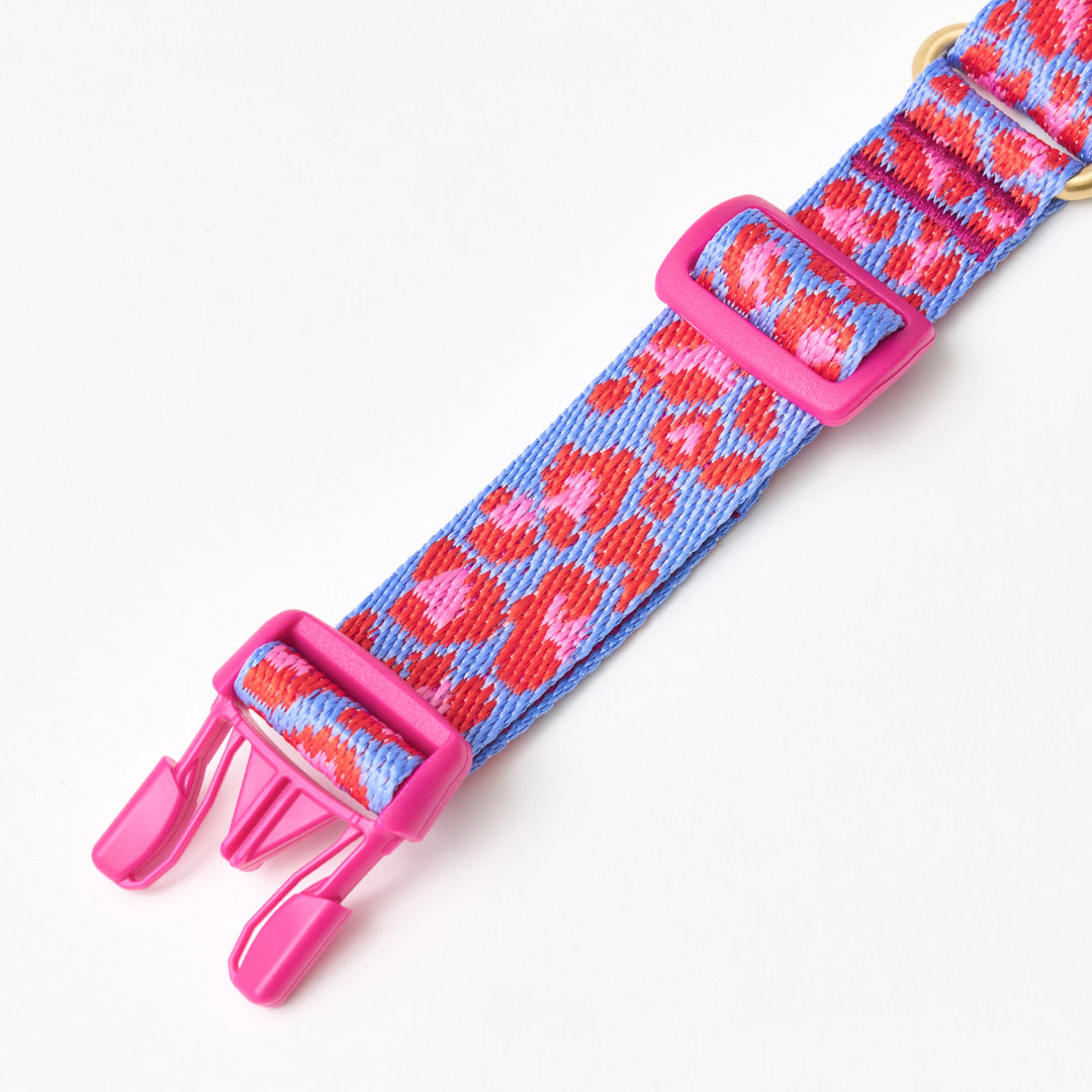 Martingale Collar Buckle (Leopard Lavender Blue)