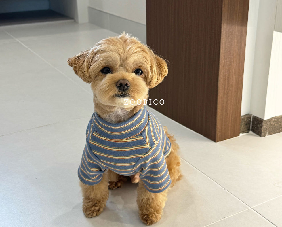 Good Day Stripe Turtleneck Tee (2 colors)