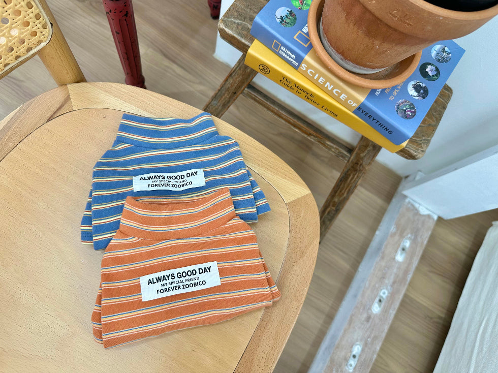 Good Day Stripe Turtleneck Tee (2 colors)