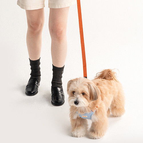 Comfort Leash (3 colors)