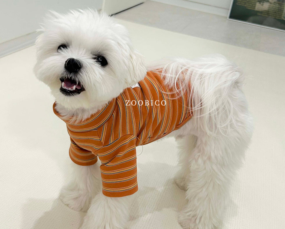 Good Day Stripe Turtleneck Tee (2 colors)