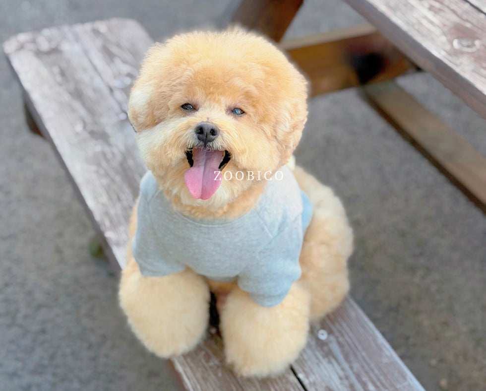 Cuteness Lace Sweatshirt (2 colors)