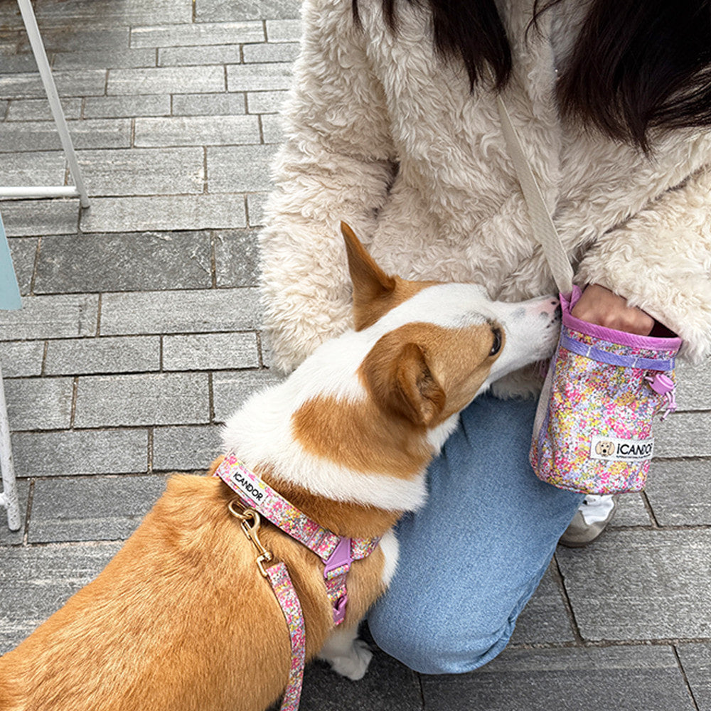 Munchie Minder Treat Bag (Flora)