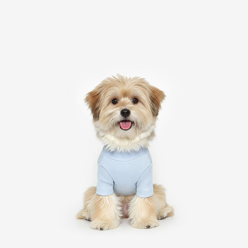 Soft Basic Tee Light Blue