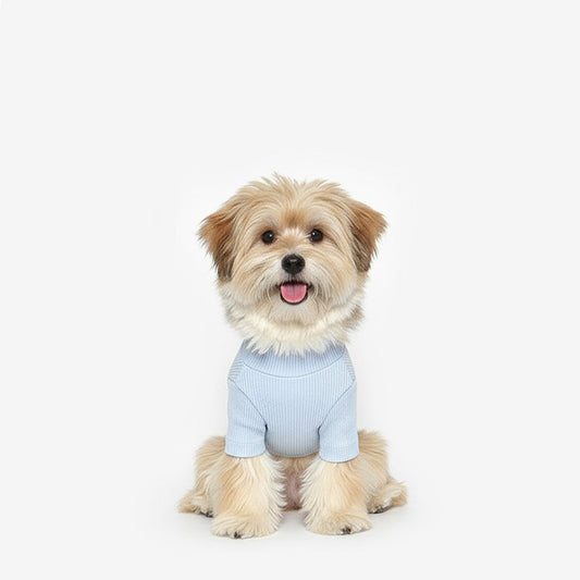 Soft Basic Tee Light Blue