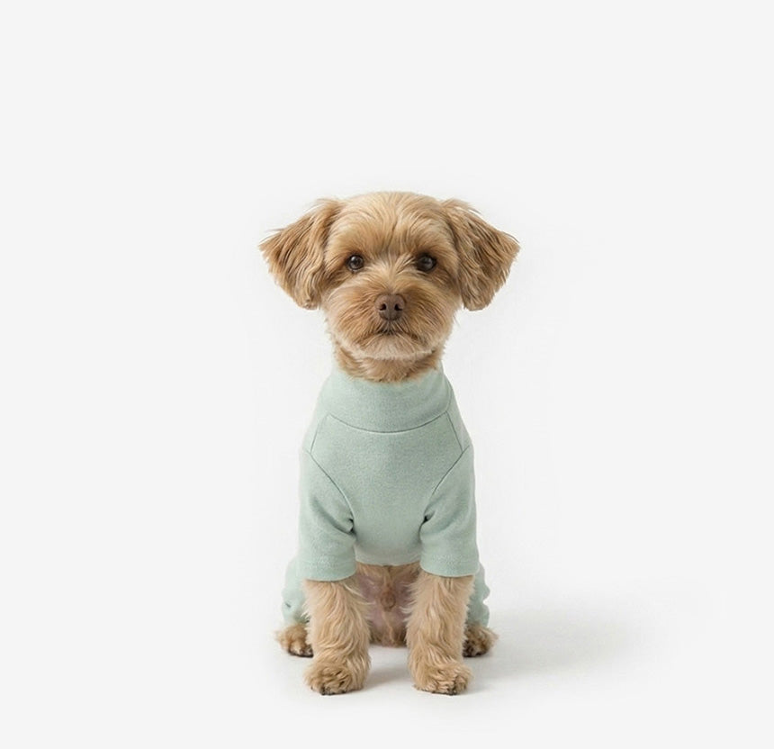 Plain Dog Onesie Mint Gray