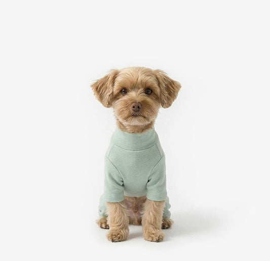 Plain Dog Onesie Mint Gray