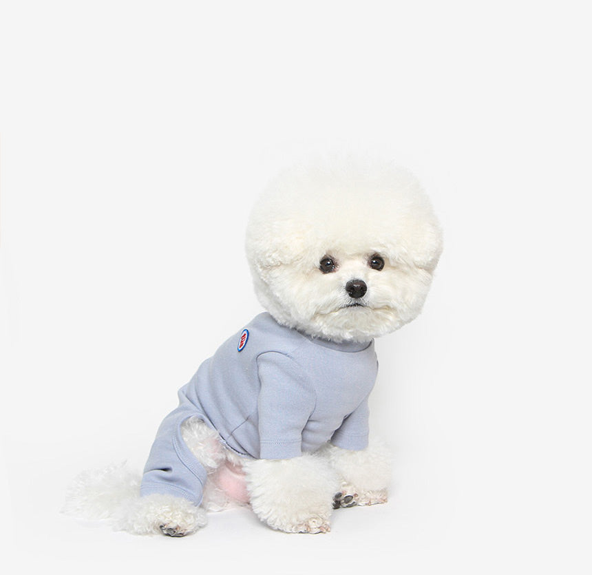 Plain Dog Onesie Blue Grey