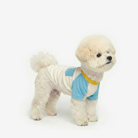 Block Raglan Tee Blue