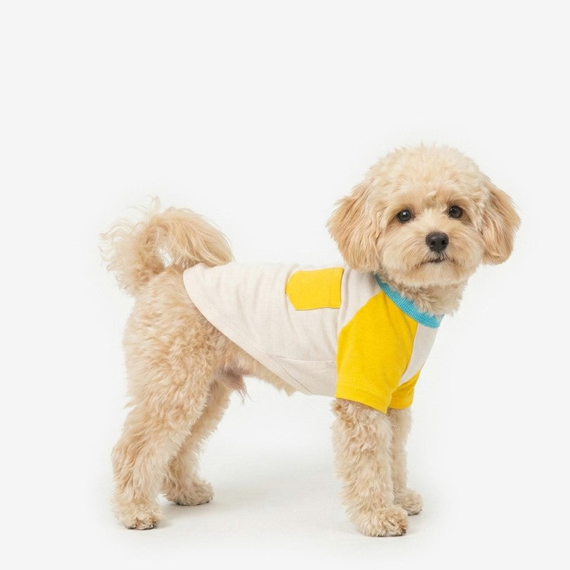 Block Raglan Tee Yellow