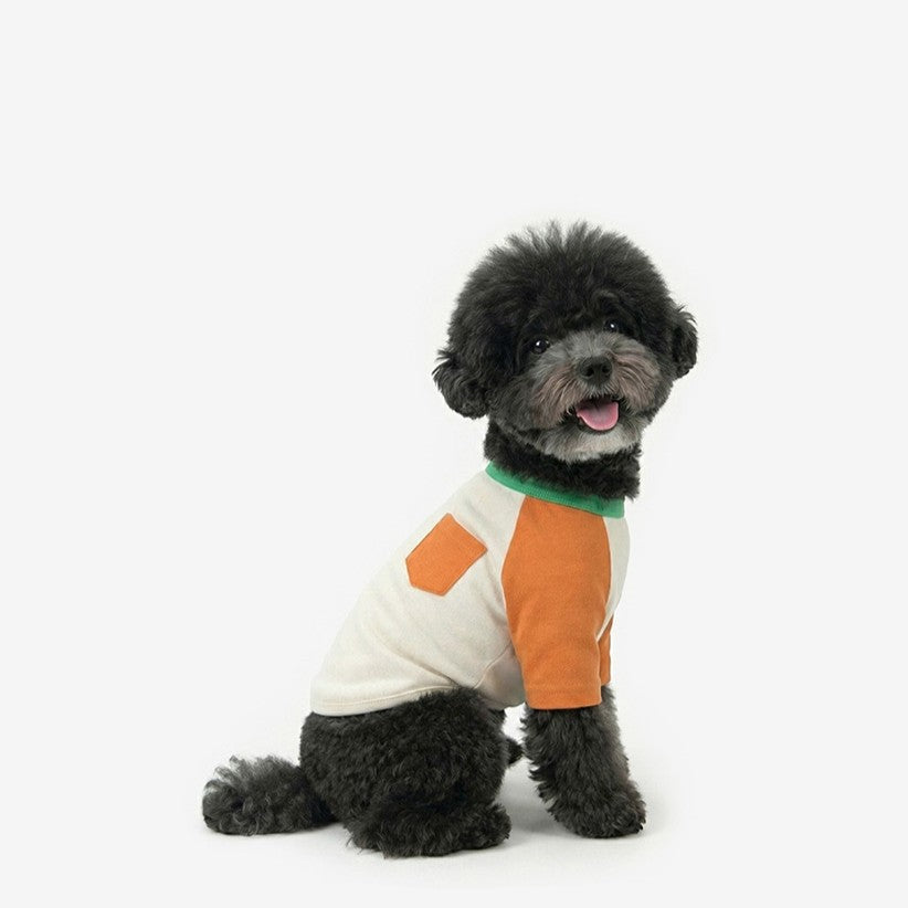 Block Raglan Tee Orange