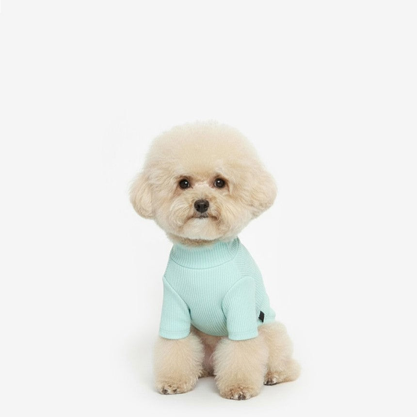 Soft Basic Tee Mint