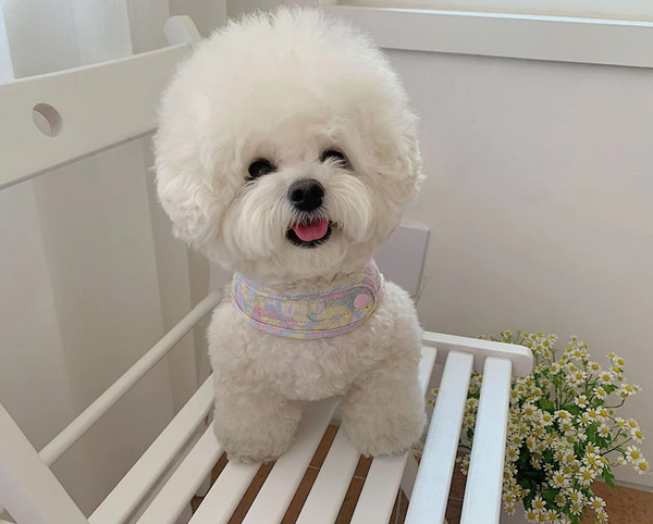 Flower Harness