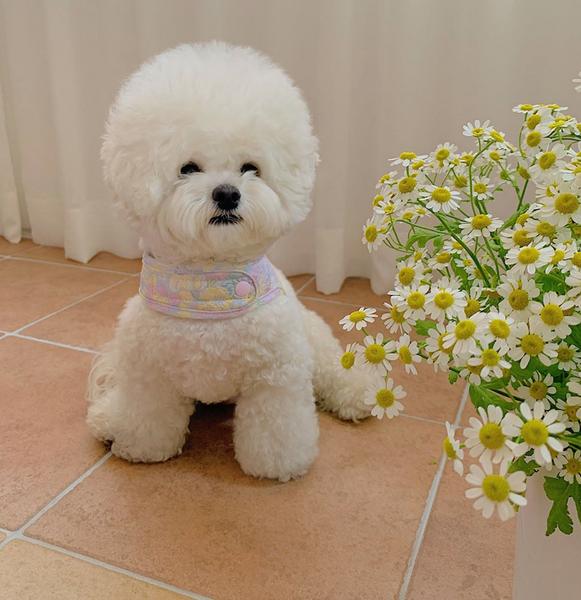 Flower Harness