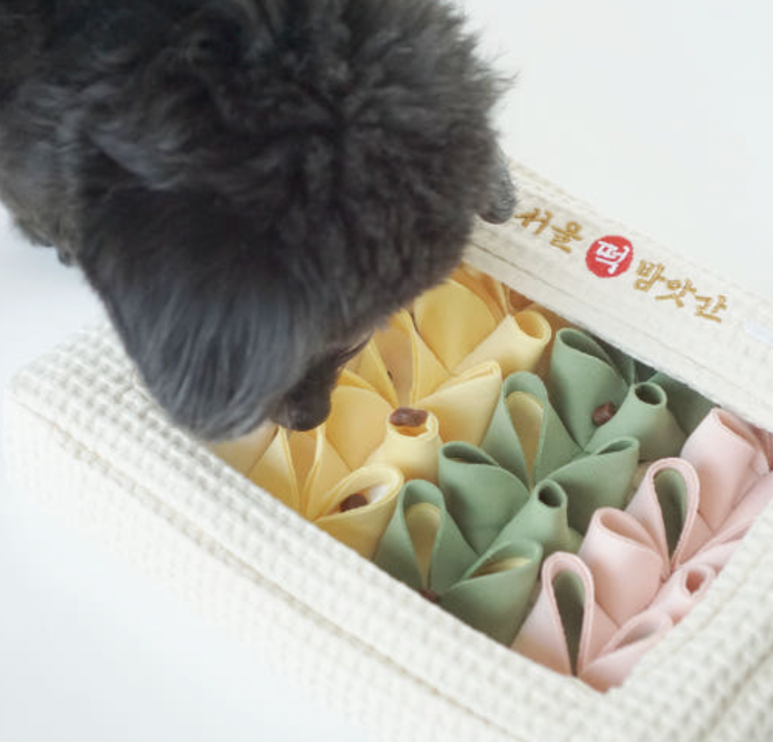 Korean Ricecake Set Nosework Toy