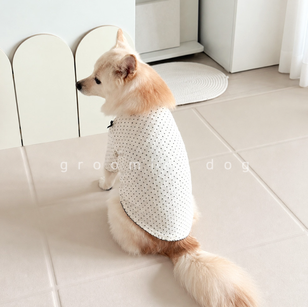 Snow Polka Dot T-shirt (3 colors)