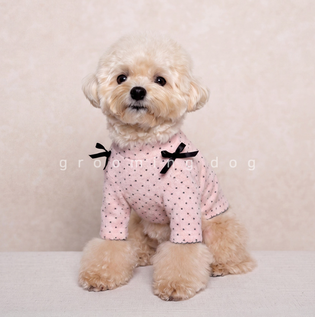 Snow Polka Dot T-shirt (3 colors)
