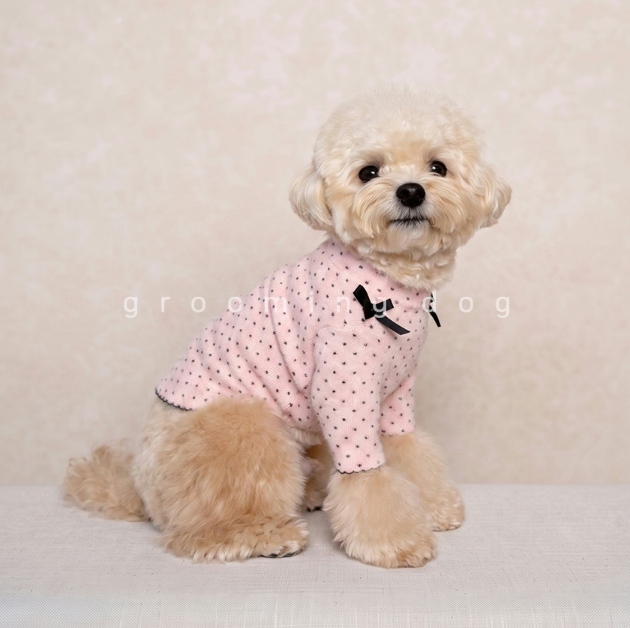 Snow Polka Dot T-shirt (3 colors)