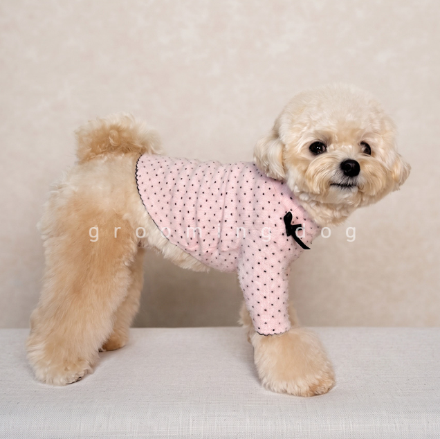 Snow Polka Dot T-shirt (3 colors)