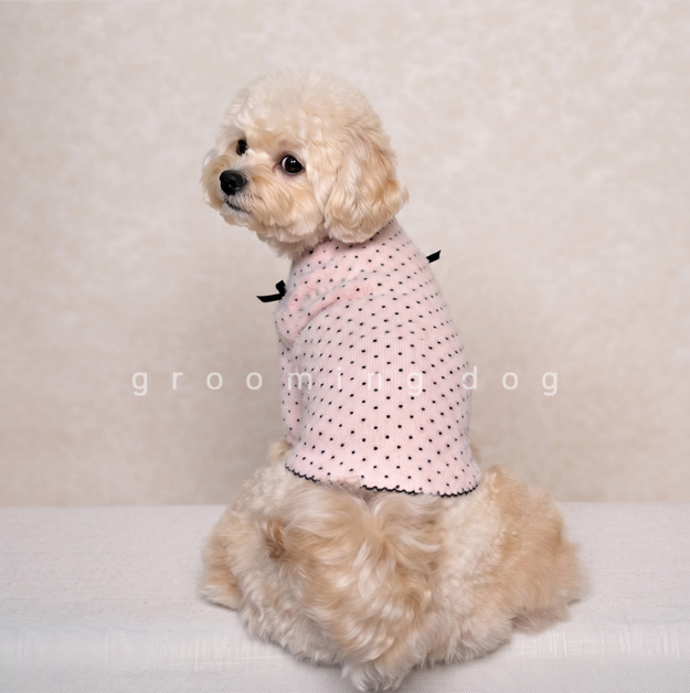 Snow Polka Dot T-shirt (3 colors)
