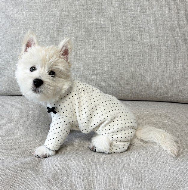 Snow Polka Dot Onesie (3 colors)