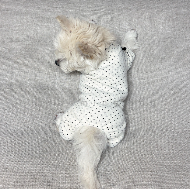 Snow Polka Dot Onesie (3 colors)