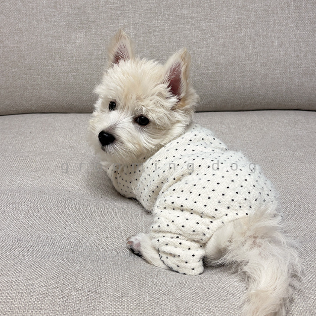 Snow Polka Dot Onesie (3 colors)