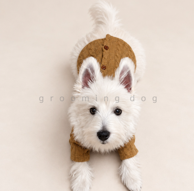 Classic Cable Knit Cardigan (2 colors)