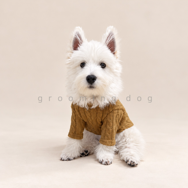 Classic Cable Knit Cardigan (2 colors)