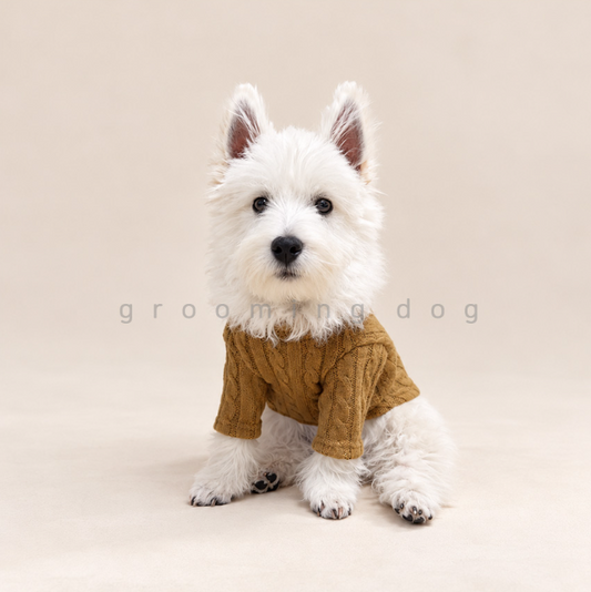 Classic Cable Knit Cardigan (2 colors)