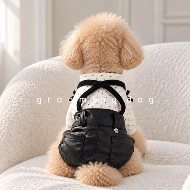 Mood Leather Pants (2 colors)
