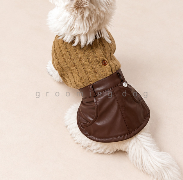 Mood Leather Dress (2 colors)