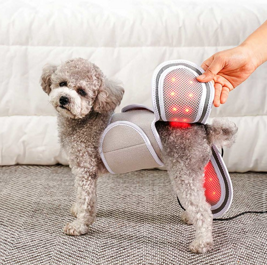 Cirius Pet Warm Cape (Small dogs)