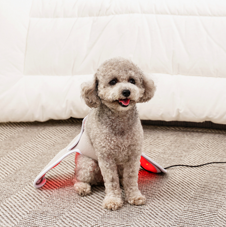 Cirius Pet Warm Cape (Small dogs)