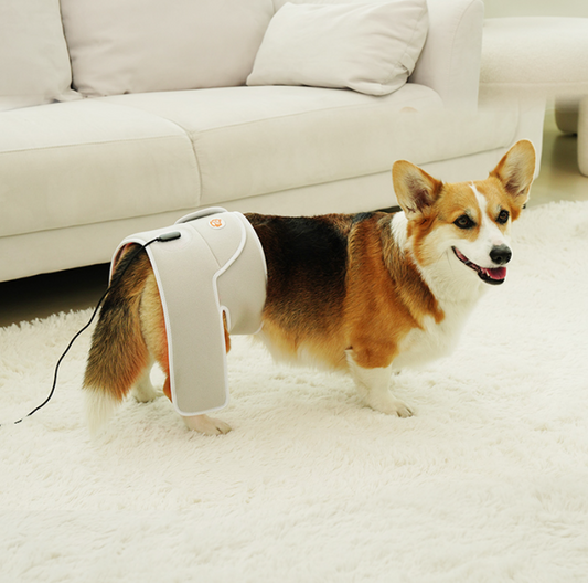 Cirius Pet Warm Cape Pro (Small-Medium sized dogs)