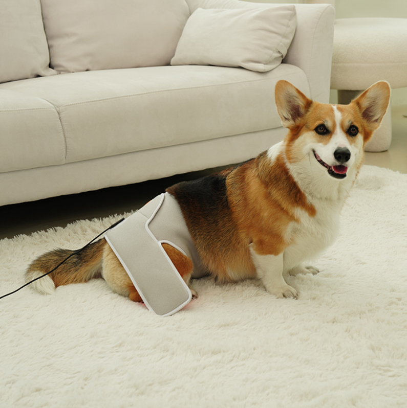 Cirius Pet Warm Cape Pro (Small-Medium sized dogs)