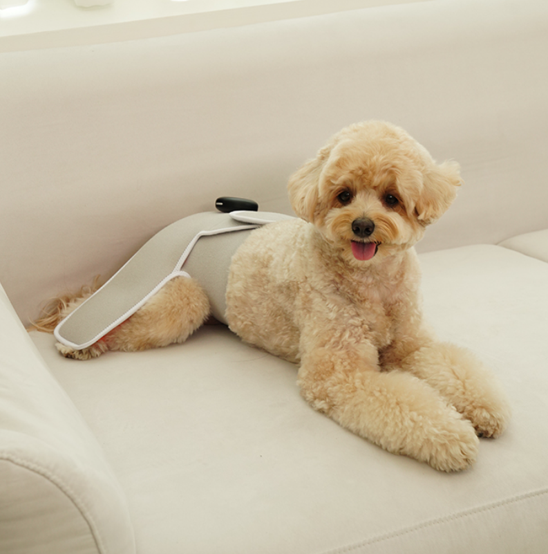 Cirius Pet Warm Cape Pro (Small-Medium sized dogs)