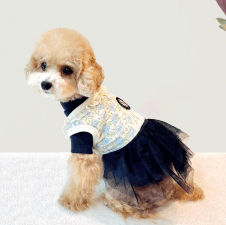 Lace Hanbok Vest (2 colors)