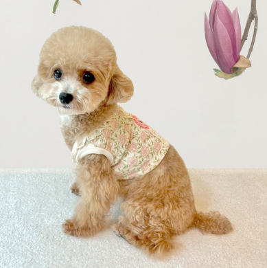Lace Hanbok Vest (2 colors)