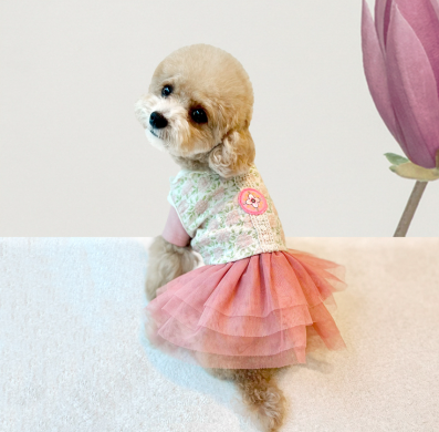 Lace Hanbok Vest (2 colors)